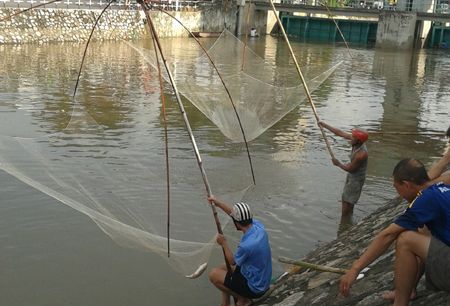 Một thùng đầy cá mà người dân đánh bắt được.