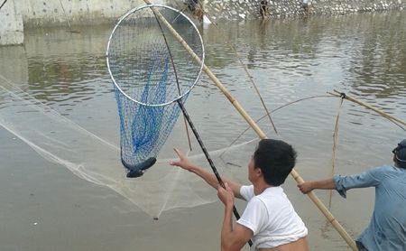 Một thùng đầy cá mà người dân đánh bắt được.