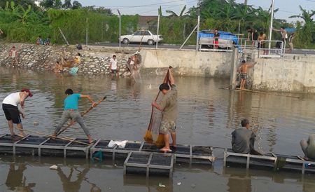 Chài cũng được sử dụng để đánh bắt cá.