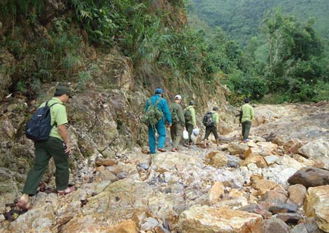 vàng, phu-vàng, trúng, đào, săn-tìm, kho-báu, Đà-Nẵng