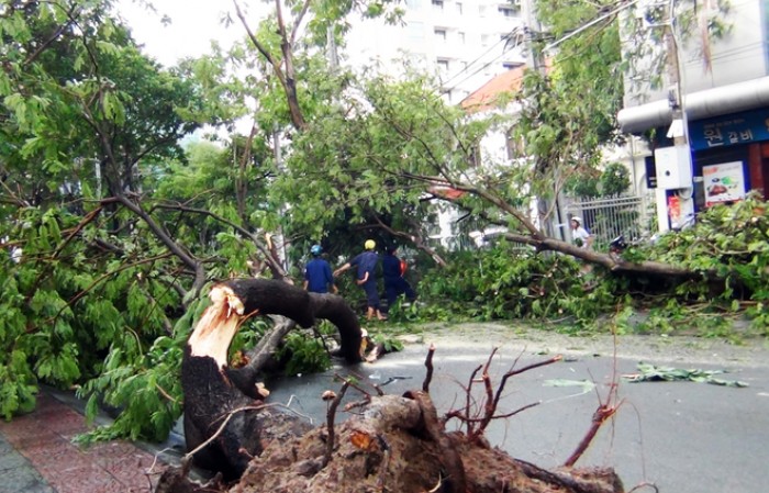 Cầu thị và nghiêm túc