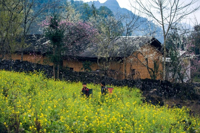 Có một Hà Giang mê hoặc lòng người