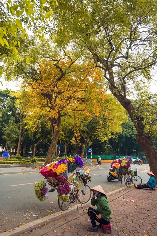 Hà Nội, Thu rồi phải không?