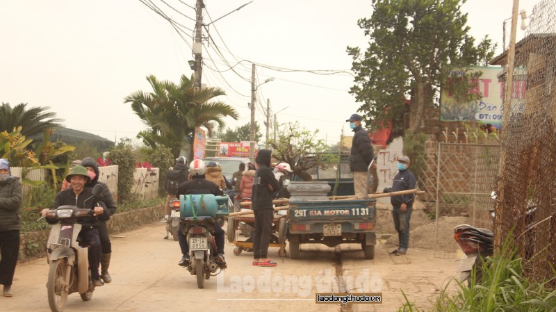 tat bat hoi sinh dao nhat tan sau tet nguyen dan