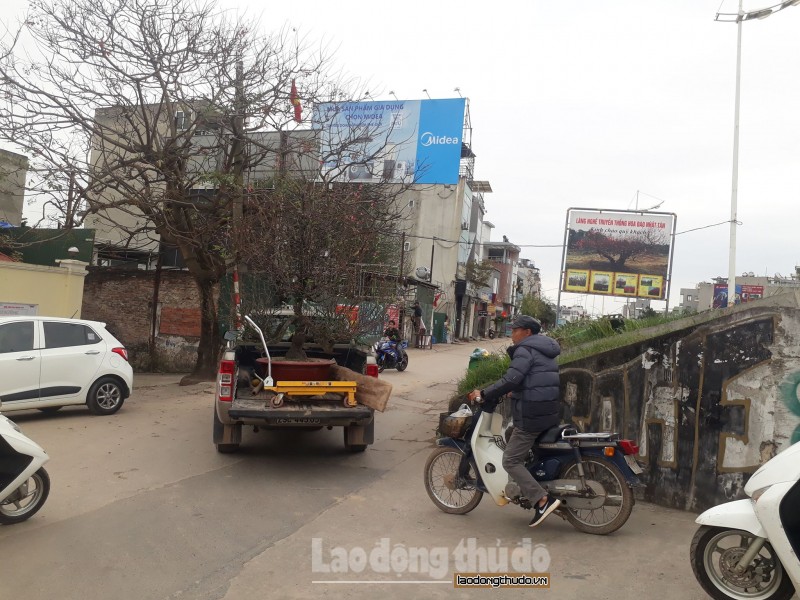 tat bat hoi sinh dao nhat tan sau tet nguyen dan