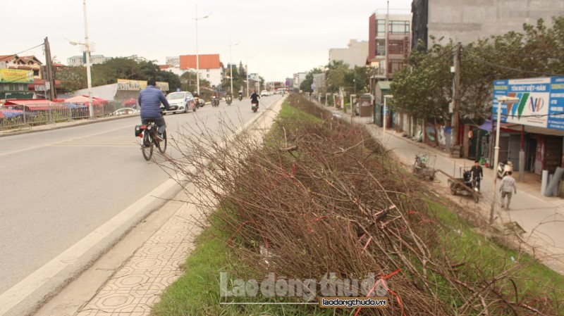 dao kho chat day de duong au co