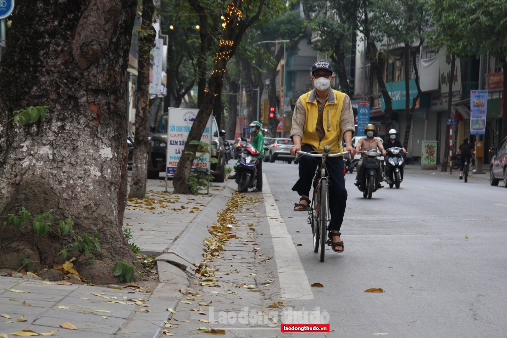 Ngắm khung cảnh bình yên của Hà Nội mùa cây thay lá