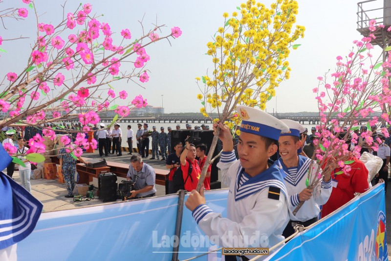 dua mai vang ra nha gian dk1 chuan bi don tet