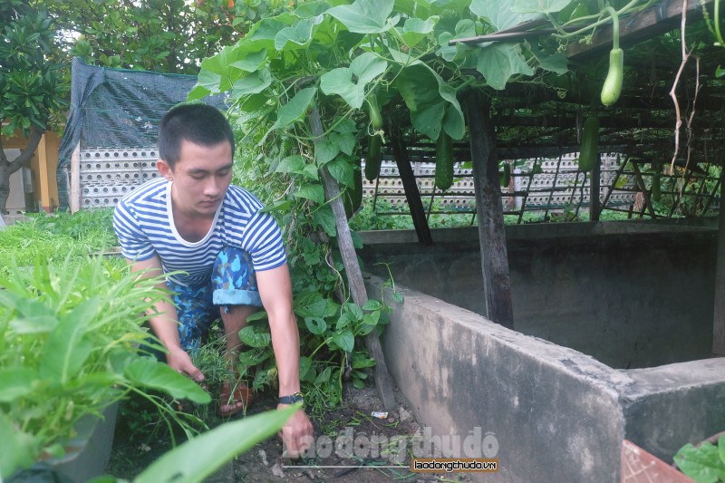 man nhan voi vuon rau xanh tren dao truong sa dong