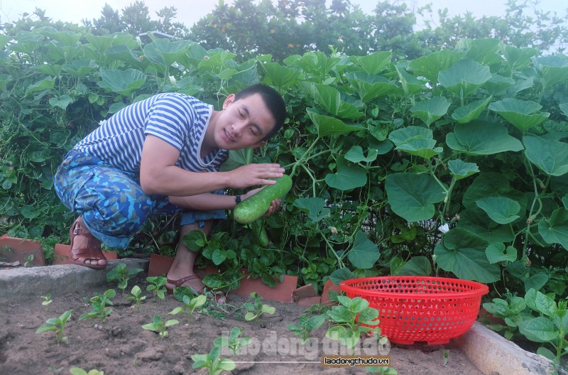 man nhan voi vuon rau xanh tren dao truong sa dong