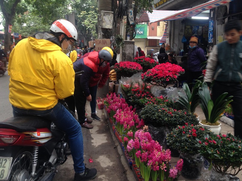 ha noi chieu cuoi nam