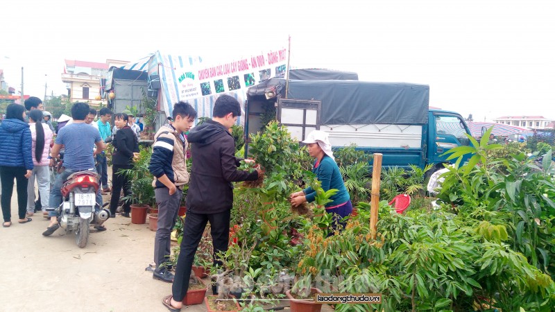 nam dinh nhon nhip hoi cho xuan lieu de