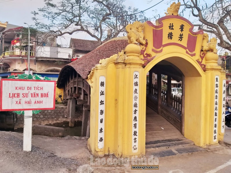 doc dao cay cau ngoi dang rong bay o xu thanh nam