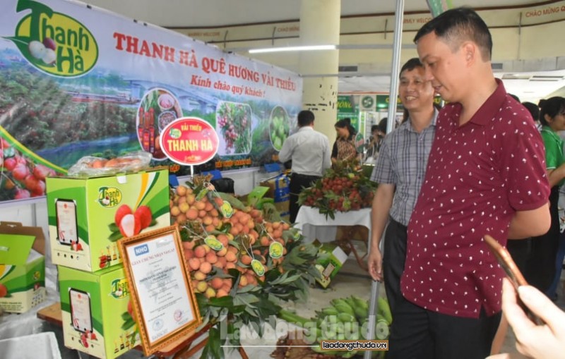 Đưa vải thiều Thanh Hà và nông sản an toàn đến với người tiêu dùng Thủ đô