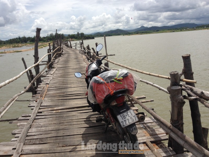 cau ong cop loi tat den thang canh xu so hoa vang tren co xanh