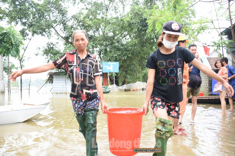 ha noi dam bao nhu cau nuoc sach cho nguoi dan vung lu chuong my