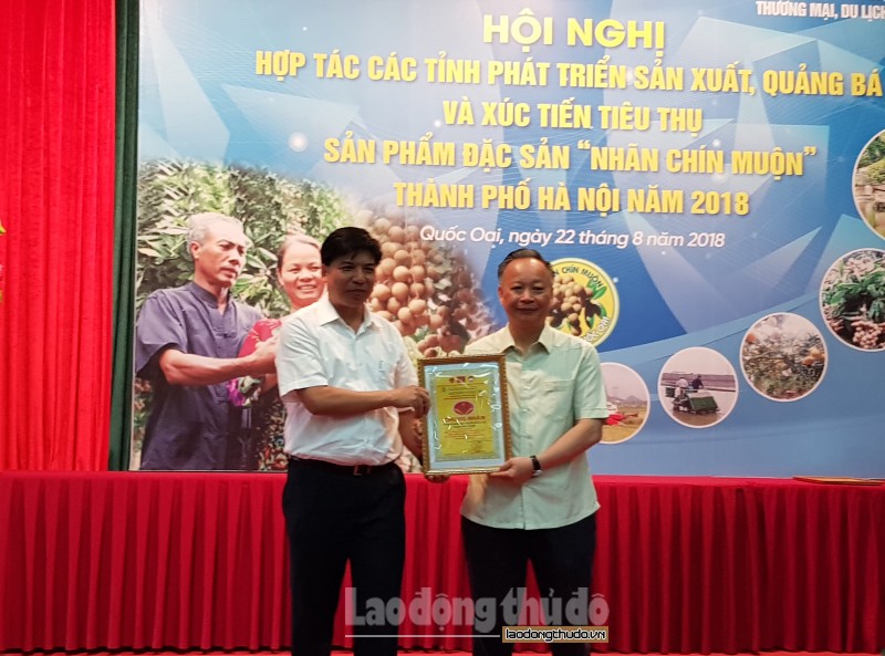 day manh quang ba xuc tien tieu thu dac san nhan chin muon ha noi 2018