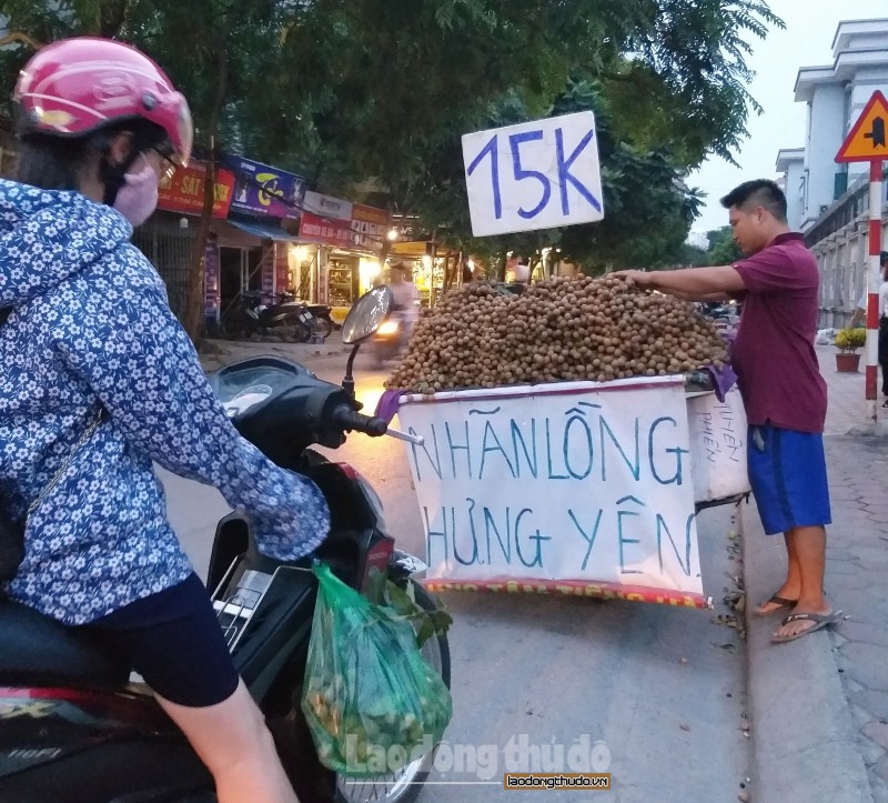 ha noi gia nhieu loai trai cay ha nhiet