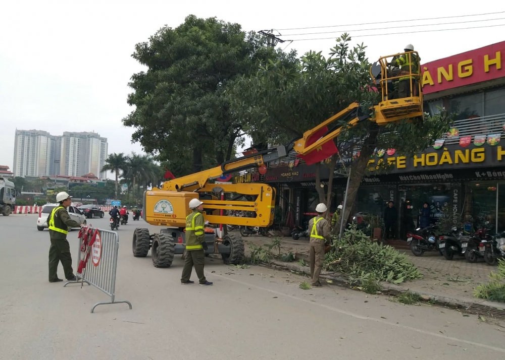 Sẵn sàng các phương án ứng phó với cơn bão số 4