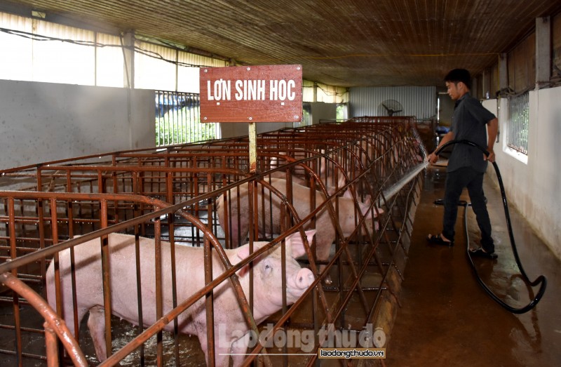 Huyện Phúc Thọ: Tạo bước đột phá trên nhiều lĩnh vực