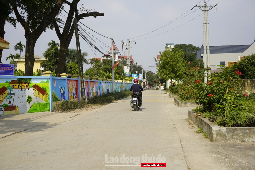 Hiệu quả từ cuộc thi “Giữ gìn đường làng, ngõ, xóm, thôn, tổ dân phố sáng, xanh, sạch, đẹp, an toàn”