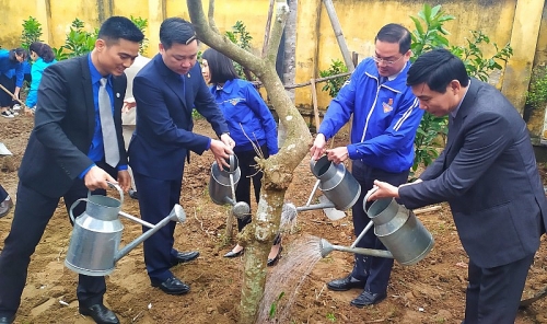 thanh doan ha noi huong ung tet trong cay doi doi nho on bac