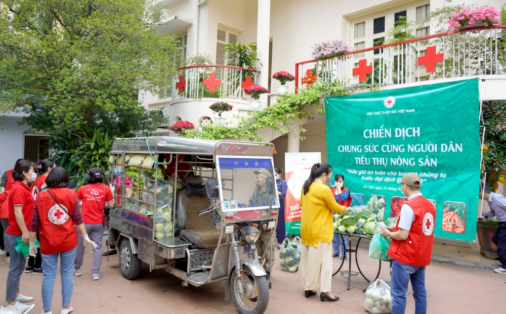 Giải cứu hàng chục tấn nông sản giúp nông dân Hải Dương