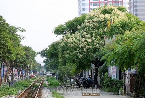 ngot ngao huong dau da sang mua he