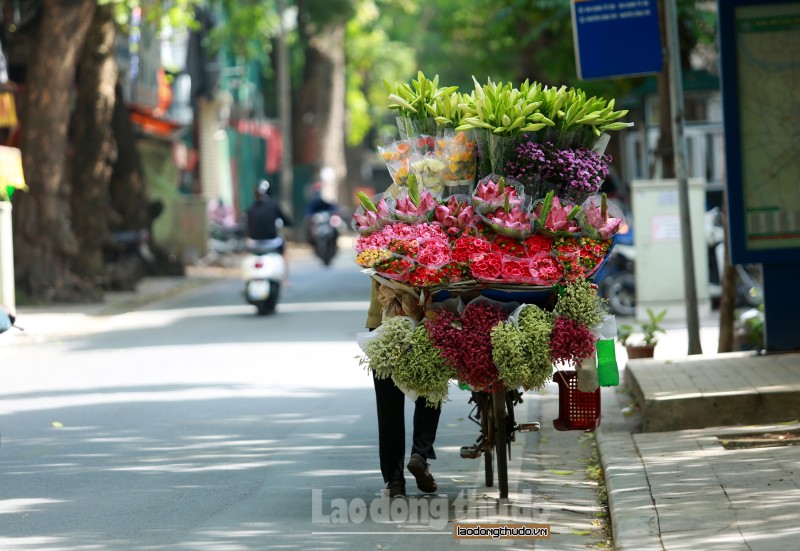 Sen đầu mùa ế ẩm vì giá bán quá cao