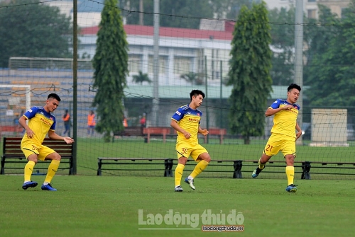 cong phuong van hau hoi quan cung doi tuyen viet nam