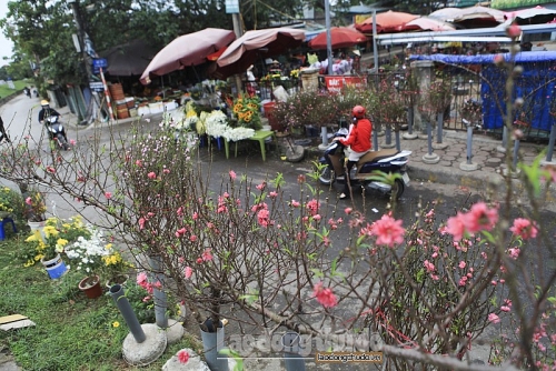 dao nhat tan no som du troi da chuyen ret