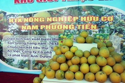 Nhiều sản phẩm nông nghiệp được cấp chứng nhận tiêu chuẩn VietGap