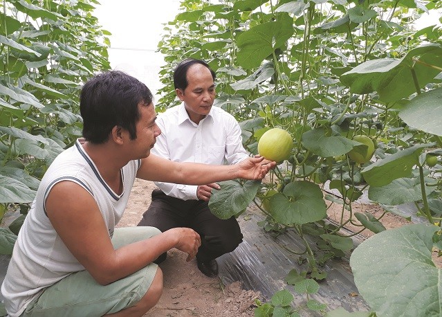 xay dung nong thon moi gan lien nang cao doi song nhan dan