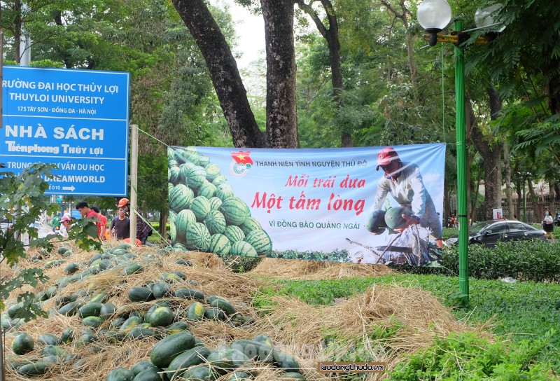 “Mỗi trái dưa một tấm lòng” vì đồng bào Quảng Ngãi