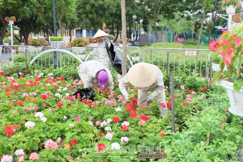 pho di bo trinh cong son truoc gio khai mac