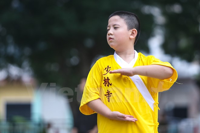 Khám phá những bài binh khí 