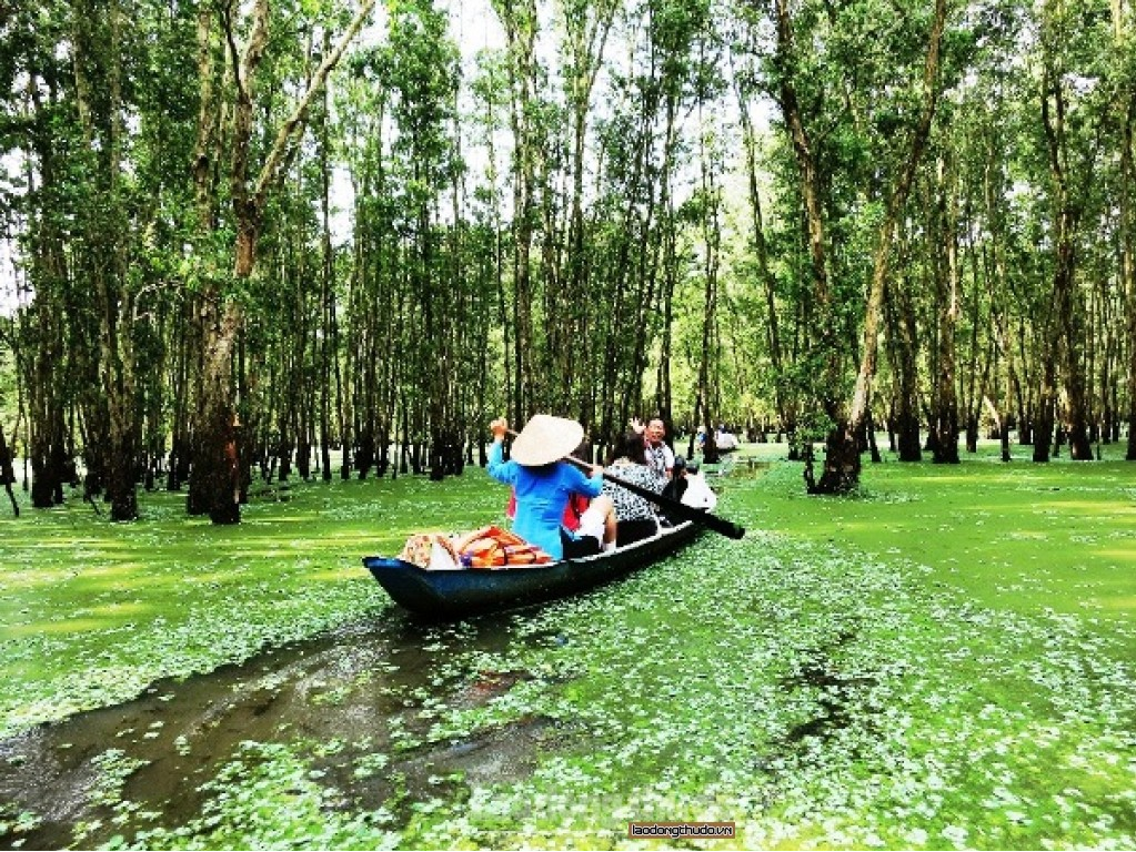 Dưới hương tràm Trà Sư bát ngát