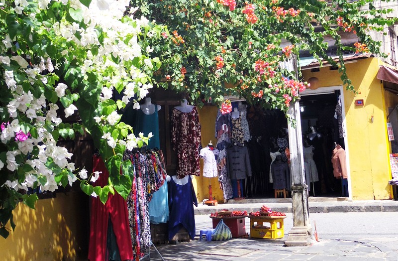 hoi an mua hoa giay