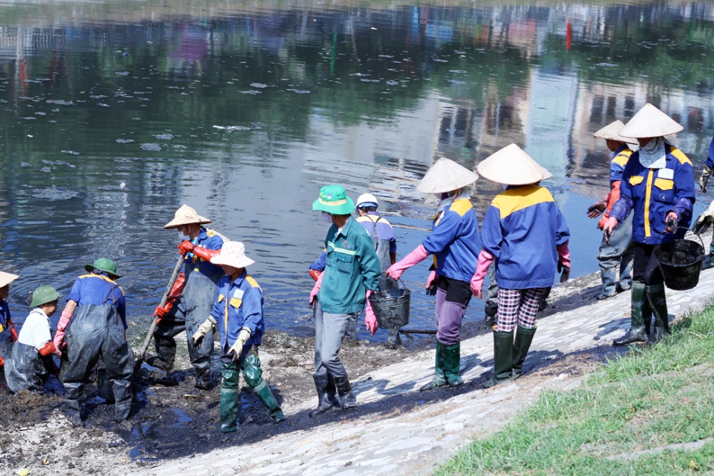 Cần những giải pháp tổng thể