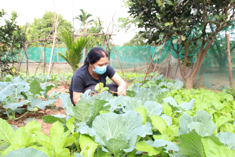 Kịp thời hỗ trợ đoàn viên lúc khó khăn