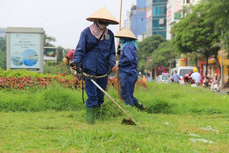 phi duy tri cay canh tham co toi da 9400 dongm2thang