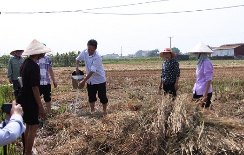 tra lai bau khong khi trong lanh cho thu do