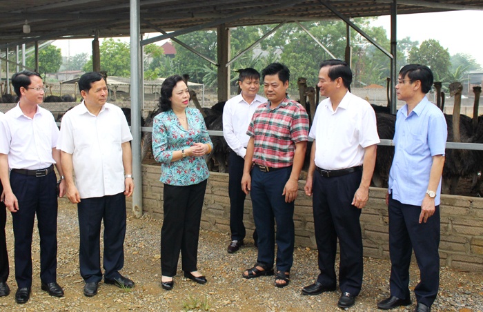 lanh dao thanh uy ha noi kiem tra cong tac xay dung nong thon moi tai huyen ba vi