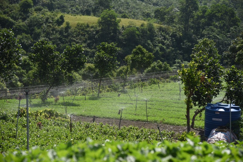 danh thu tiem nang cua cac vung dat kho