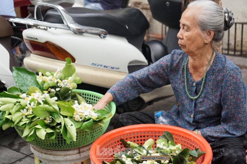 ha noi ngat huong buoi ben nhung ganh hang hoa