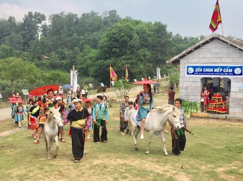 Về với cao nguyên Mộc Châu