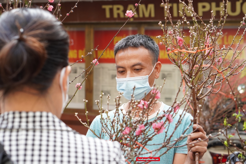 Chợ hoa lâu đời nhất Hà Nội tấp nập ngày giáp Tết