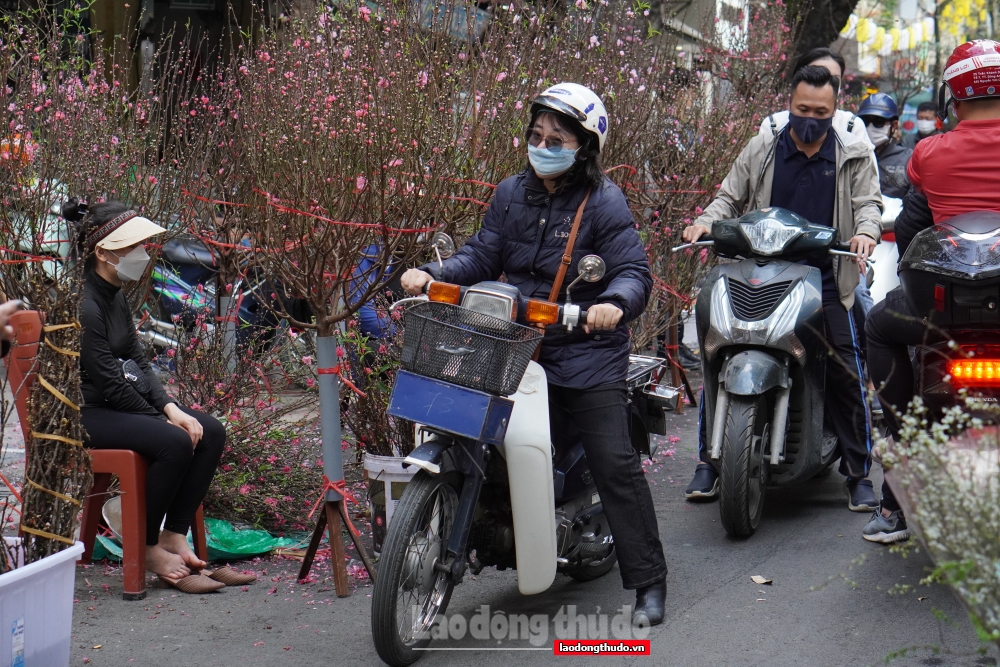 Chợ hoa lâu đời nhất Hà Nội tấp nập ngày giáp Tết