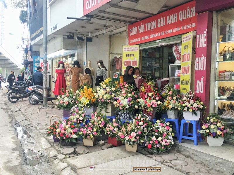 hoa tran via he ha noi truoc ngay 83