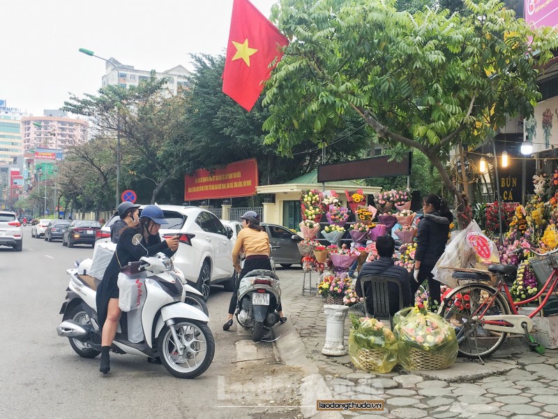 hoa tran via he ha noi truoc ngay 83